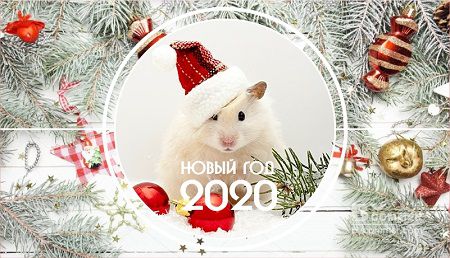 Команда сайта fs17.ru поздравляет всех С наступающим Новым Годом и Рождеством