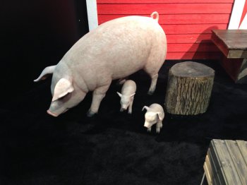 В Farming Simulator 2017 будут свиньи