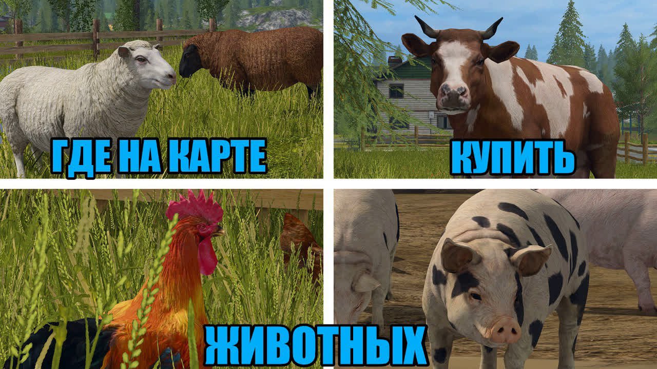 Где купить животных в Farming Simulator 2017 на карте?