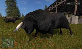 Черные буйволы для карты для Farming Simulator 2017