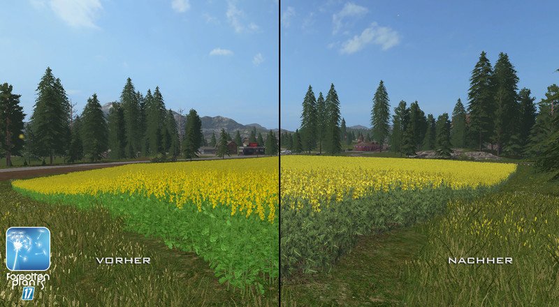 Новые текстуры рапса для Farming Simulator 2017