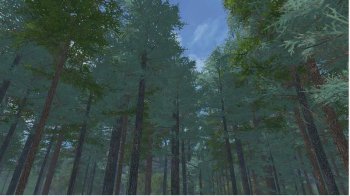 Новое дерево: Голубая ель для Farming Simulator 2017