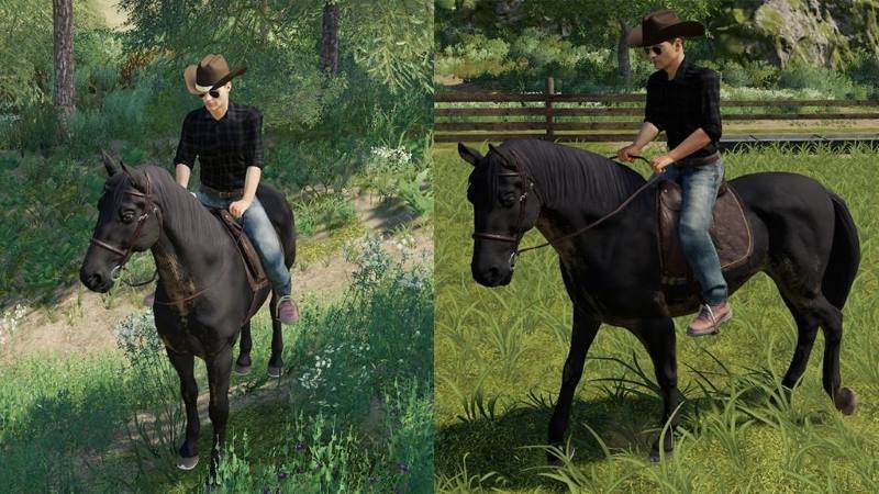 Скрипт COWBOY HAT V1.0.2 для Farming Simulator 2019