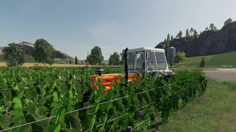 Покупаемый виноградник VINEYARD V1.0.0.0 для Farming Simulator 2019