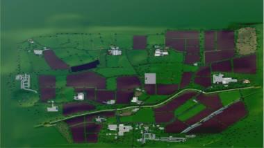 Карта Purbeck Valley Farm v1.1 для Farming Simulator 2019