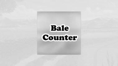 Скрипт BALE COUNTER V1.0.0.1 для Farming Simulator 2019